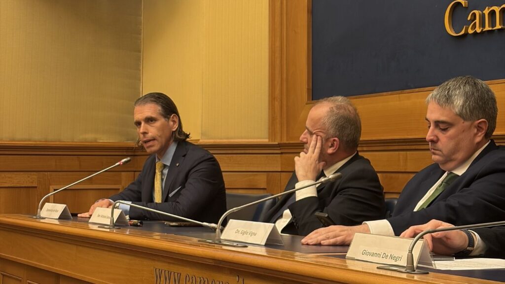 CEO Smet at Chamber of Deputies