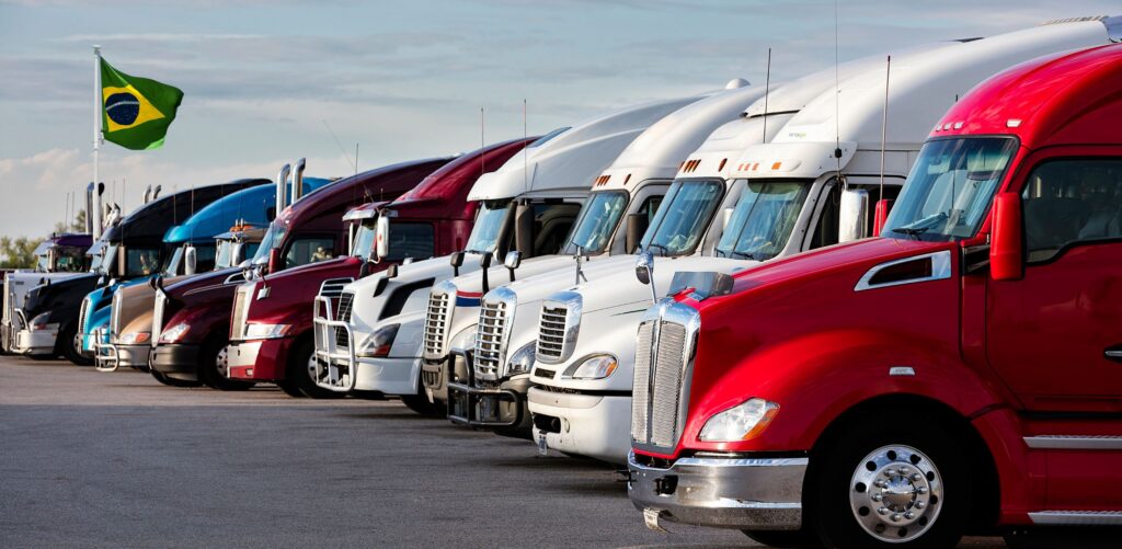 Driver Fatigue Detection Systems in Brazil